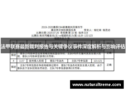 法甲联赛最新裁判报告与关键争议事件深度解析与影响评估