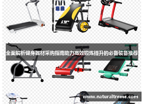 全面解析健身器材采购指南助力高效锻炼提升的必备装备推荐