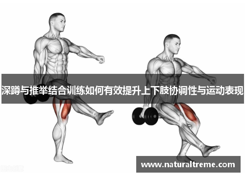 深蹲与推举结合训练如何有效提升上下肢协调性与运动表现