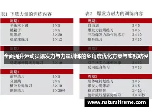 全面提升运动员爆发力与力量训练的多角度优化方案与实践路径