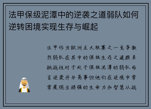 法甲保级泥潭中的逆袭之道弱队如何逆转困境实现生存与崛起