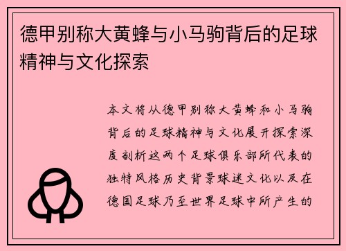 德甲别称大黄蜂与小马驹背后的足球精神与文化探索
